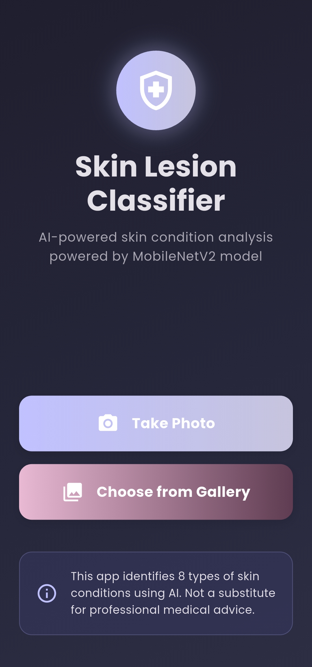 Skin Lesion Classifier App Interface
